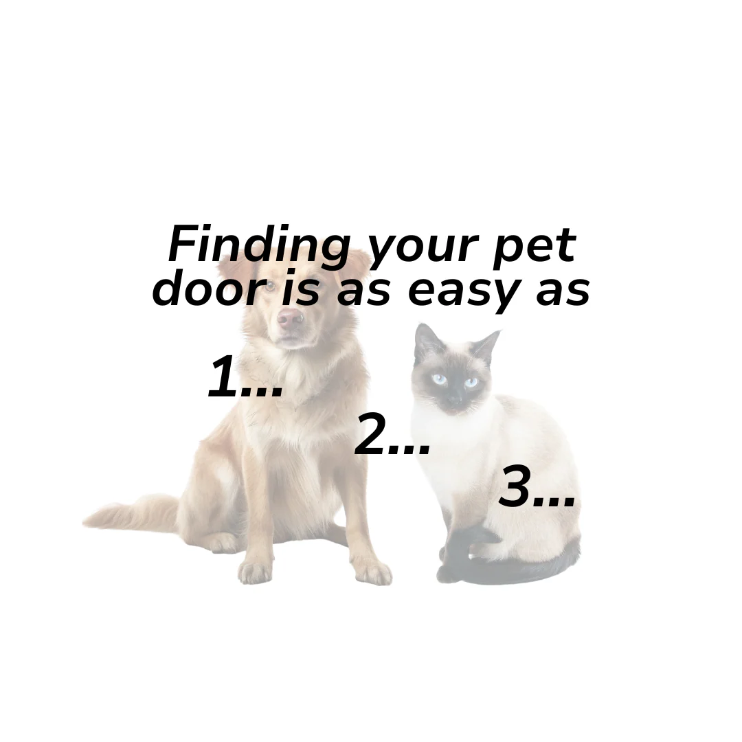 Innovative Style for Modern Pets