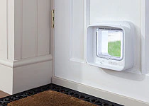SureFlap Dual Scan Microchip Cat Flap (Small) - Image 2