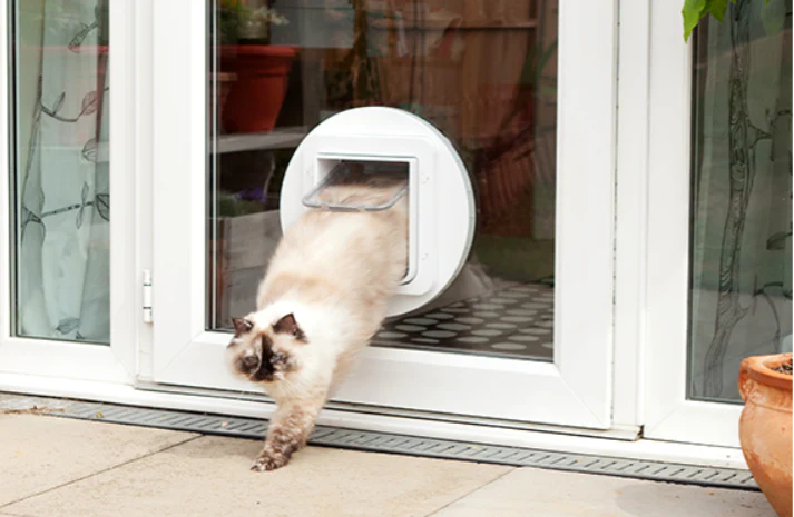SureFlap Microchip Pet Door Large - Image 4