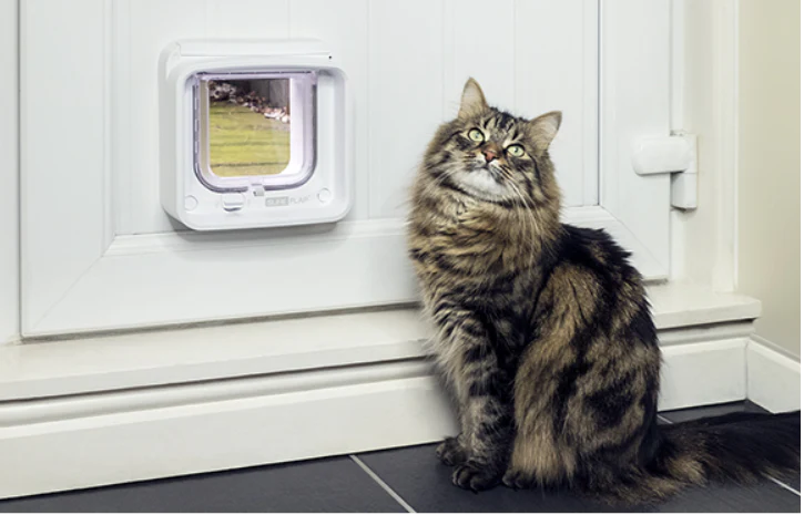 SureFlap Microchip Pet Door Large Connect - Image 3